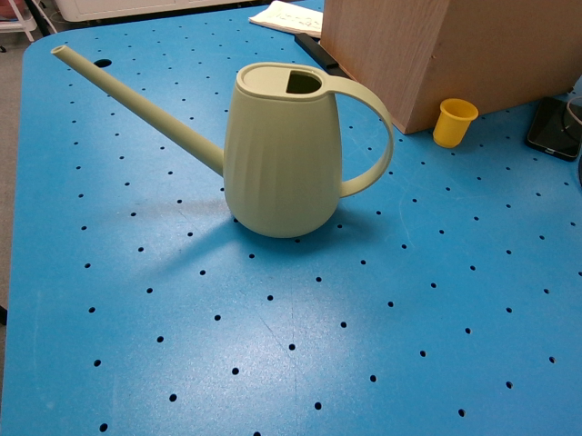 Initial scene image for Watering Can
